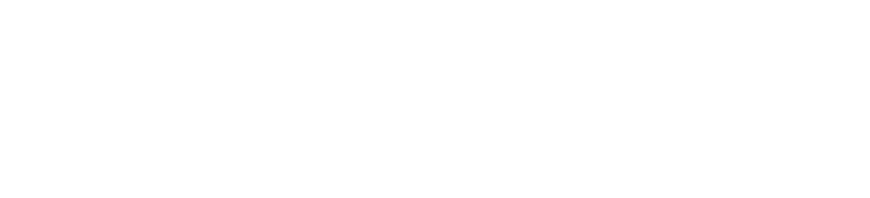 bitness.co